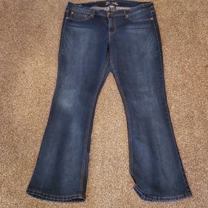 Source of Wisdom women's sz 20 jeans
